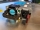 Блок питания для серверов HP DL180 G6 DL360 G6,G7 G8 HP DL380 G6,G7 G8 460W